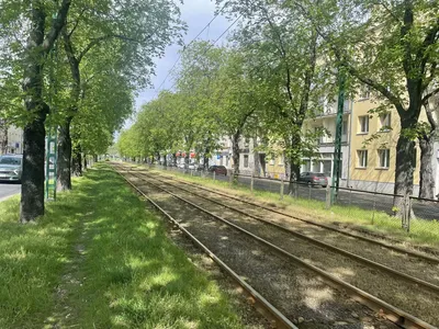 Duży pokój do wynajęcia blisko centrum - miniatura 2