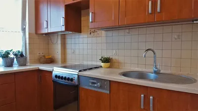 Mieszkanie do wynajęcia -Winogrady - miniatura 5