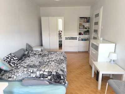 Jasny pokój 18 m² Ołbin, ul. Słowiańska spokojne mieszkanie pełne wyposażenie genialna lokalizacja blisko centrum, dostępny od 01.06.2026 - miniatura 2