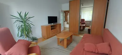 3 niezależne pokoje, pełna infrastruktura - miniatura 2