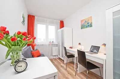 Pokój Gdańsk Morena/Suchanino - z własną lodówką! - miniatura 4