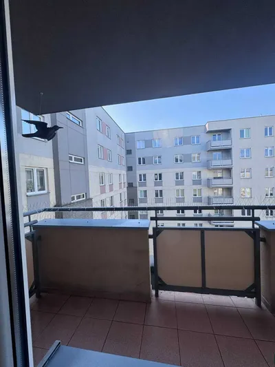 Wynajmę dwupokojowe mieszkanie - miniatura 5