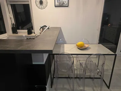 Dojlidy/zwierzęta akceptowane - miniatura 2