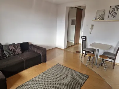 Wynajmę kawalerkę 32m2 Raginisa - miniatura 4