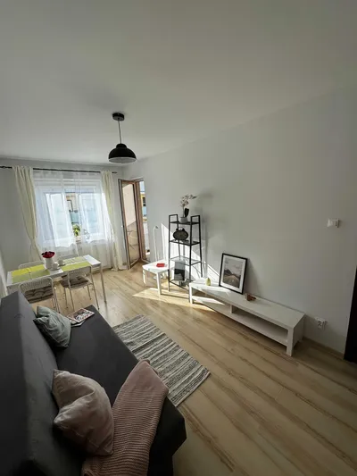 Mieszkanie 2 pokoje, osobna kuchnia, balkon, Malta, Rataje, Chartowo - miniatura 2