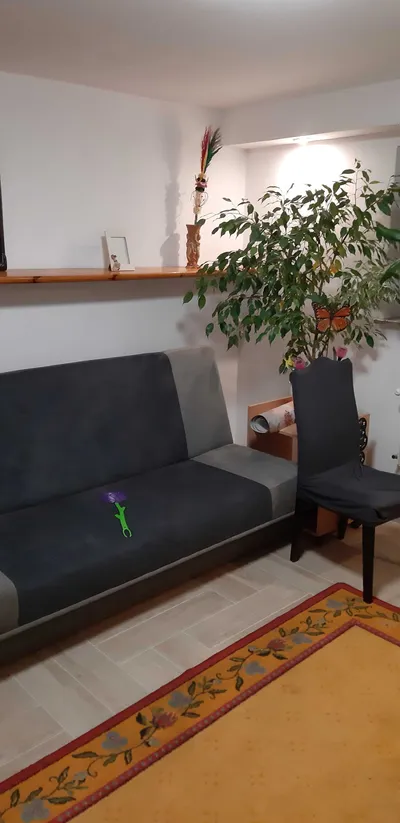 Pokój w oddzielnym mieszkaniu w domu jednorodzinnym - miniatura 3