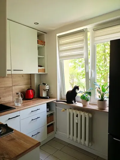 2 pokojowe mieszkanie na wynajem - miniatura 2