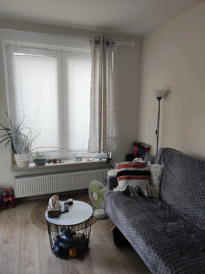 mieszkanie do wynajęcia, Łódź, Ptasia