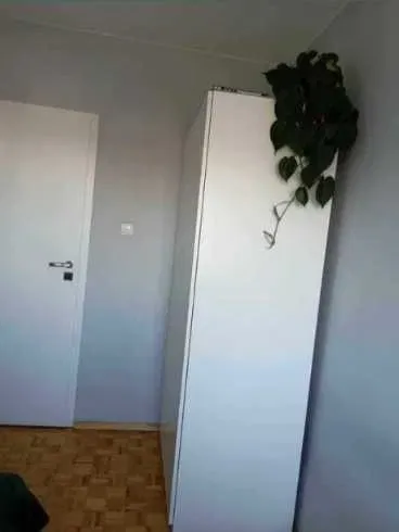 Pokój do wynajęcia Paderewskiego 3e w mieszkaniu 4 pokojowym - miniatura 2