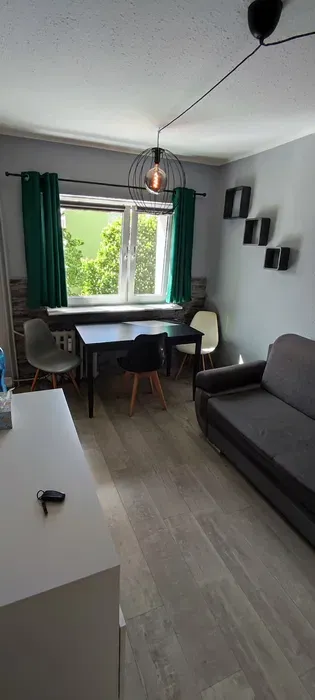 Kawalerka na wynajem, ul Bukowska 134, mieszkanie - miniatura 2