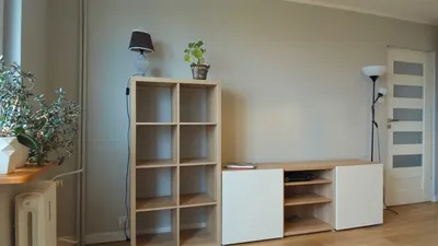 Mieszkanie do wynajęcia -Winogrady - miniatura 2