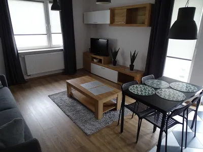 Studio dla singla /Pary/Gęsia - miniatura 4