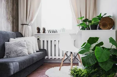 ZWIERZOLUBNY pokój w ślicznym mieszkaniu, WINOGRADY, WiFi gratis! - miniatura 2