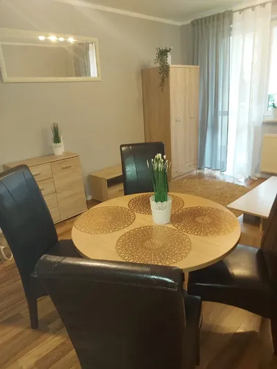 Mieszkanie do wynajęcia projektant - miniatura 4