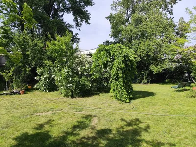 Wynajmę mieszkanie 70m2