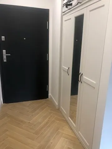 Mieszkanie Poznan Jeżyce do wynajęcia - miniatura 4