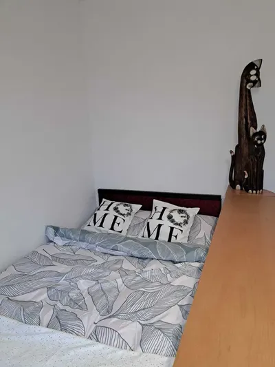 Wynajmę dużą bezczynszową słoneczną kawalerkę z balkonem - miniatura 3