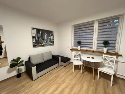 Kawalerki do wynajęcia, Dziesiąta - miniatura 2