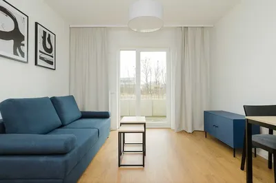Studio na parterze przy Marinie / Bezpośrednio i bez prowizji / Przyjazne zwierzętom - miniatura 2