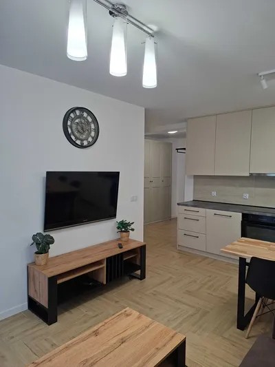 Nowe, eleganckie mieszkanie w nowym budynku – do wynajęcia - miniatura 3