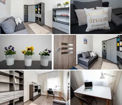 Kościuszki 32, UMED, UŁ, PŁ, Amazon, właściciel, ZADBANE, CZYSTE - miniatura 4
