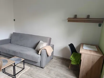 Duży pokój wolny od zaraz - miniatura 2