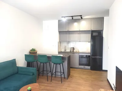 Ładne 3-pok. 50 m.kw w apartamentowcu Piątkowo ul.Wojciechowskiego 2700 zł! - miniatura 3