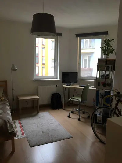 Pokój do wynajęcia dla studenta/ki Poznań Łacina - miniatura 4