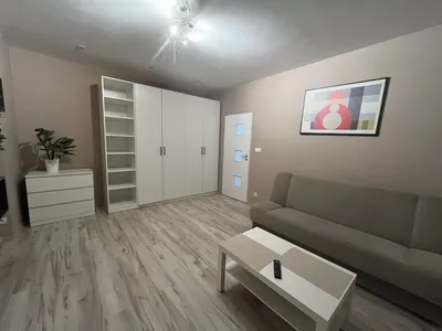 Kawalerka w centrum na wynajem - miniatura 2