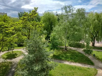 Mieszkanie do wynajęcia, 2 pokoje, okolice Czajkowskiego, Karłowice, bez pośredników - miniatura 3