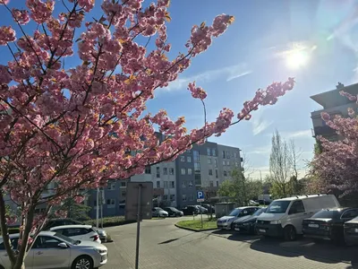 Komfortowe mieszkanie 2-pokojowe, 42 m2 , Nowa Cegielnia , Szczecin - miniatura 2