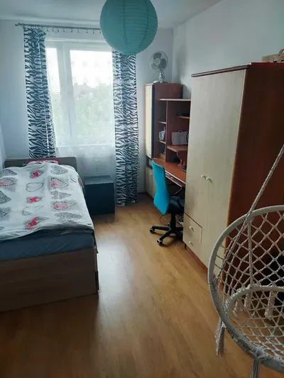 Pokój do wynajęcia od lipca - miniatura 2