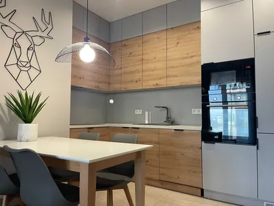 Apartament 3 pok. w centrum Katowic Pierwsza Dzielnica bez pośredników