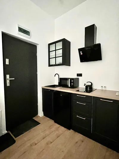 Do wynajęcia studio ul.Furmańska - miniatura 2