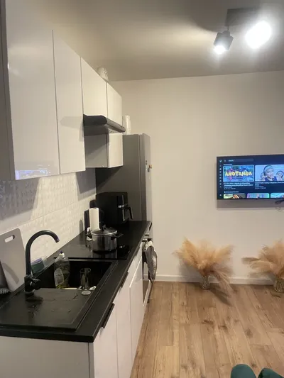 1 bedroom apartment - miniatura 2