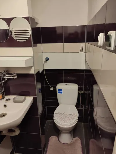 Kawalerka do wynajęcia - miniatura 5
