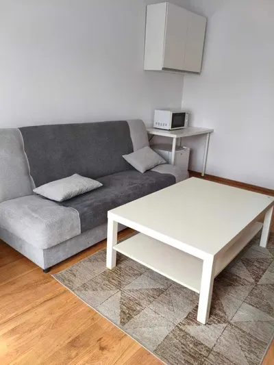 Duży, słoneczny pokój 16m2, os. Brzezina blisko UMK - miniatura 4