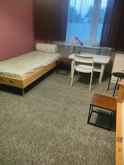 Wynajem pokoju, Grunwald, Poznań - miniatura 2