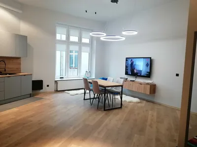 mieszkanie na wynajem Piotrkowska obok Placu Wolności - miniatura 2