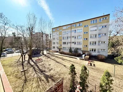 Krasińskiego mieszkanie 3-pokojwe na wynajem - miniatura 4