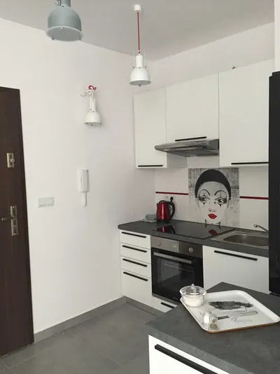 Mieszkanie do wynajęcia ׀ Prądnicka, 2 pokoje ׀ balkon ׀ ENG - miniatura 5