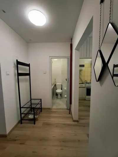 Kawalerka na wynajem, Dąbrowskiego, odnowiona, dla 1 osoby - miniatura 4