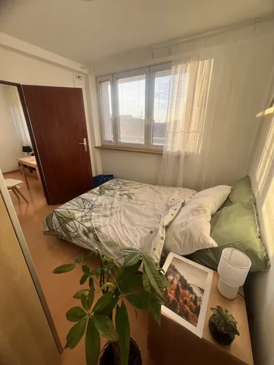 Wynajmę mieszkanie Katowice Śródmieście 38m2 - miniatura 2