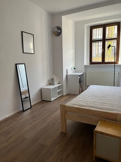 Pokój jednoosobowy Iłłakowiczówny Poznań centrum - miniatura 3