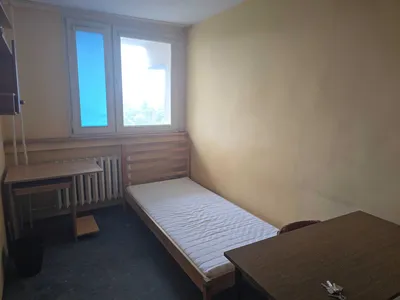 Pokoj do wynajecia