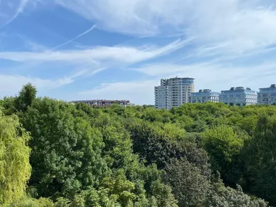 Mieszkanie blisko UM i centrum 3 pojedyńcze pokoje - miniatura 2
