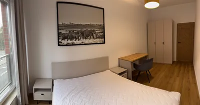 Nowe, klimatyzowane, luksusowe mieszkanie na Koszutce - miniatura 2