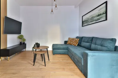 Duży apartament z 2 miejscami garażowym - miniatura 2