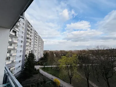 Do Wynajęcia 3 Pokoje / 64m2 - miniatura 5