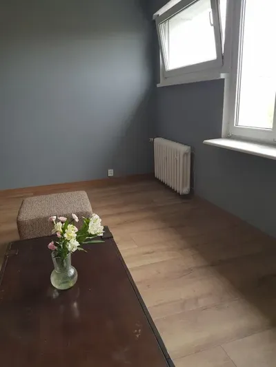 Przetulne mieszkanie w bloku, 2 pokoje - miniatura 4
